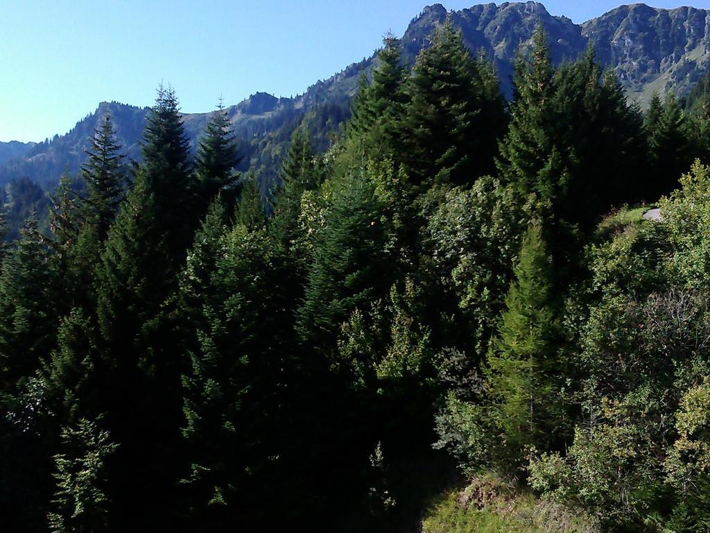 Appartement à La Jorette-torgon Torgon